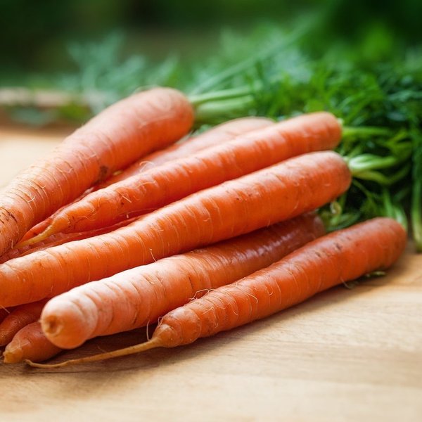 Moro´sche Karottensuppe Rezept